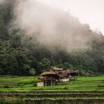 La naturel en Thaïlande