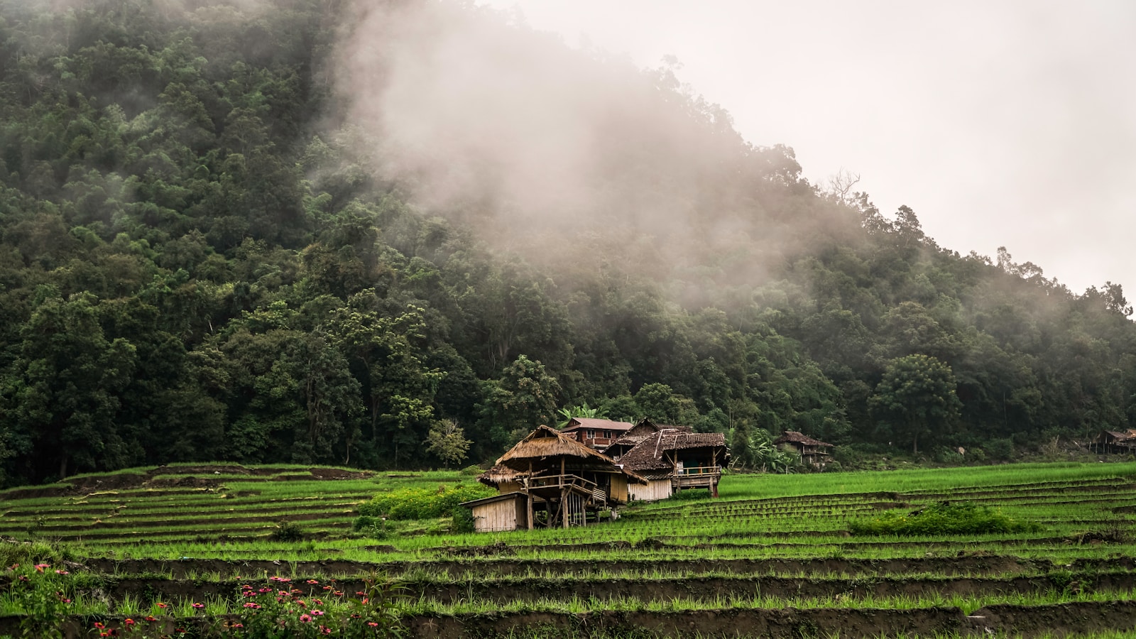 La naturel en Thaïlande
